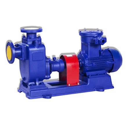 Oscurecimiento industrial 110kw horizontal del uno mismo de la bomba centrífuga de 300CYZ-A-50 300CYZ-A-50